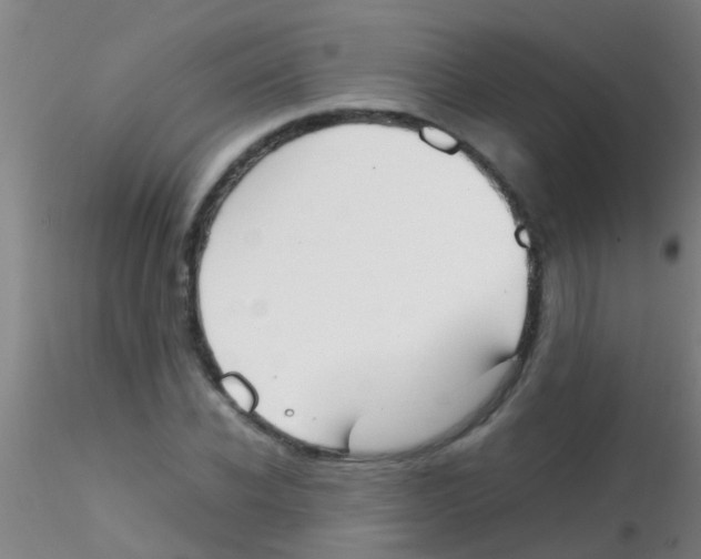 X0000115210926200911251504