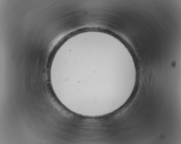 X0000115210927200911251504