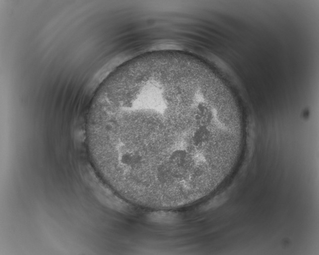 X0000115210929200911251504