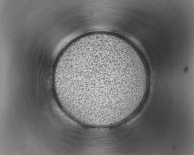 X0000115210930200911251504