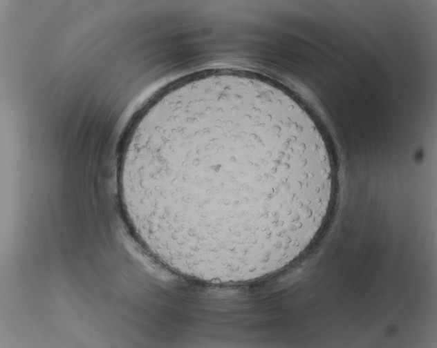 X0000115210931200911251504