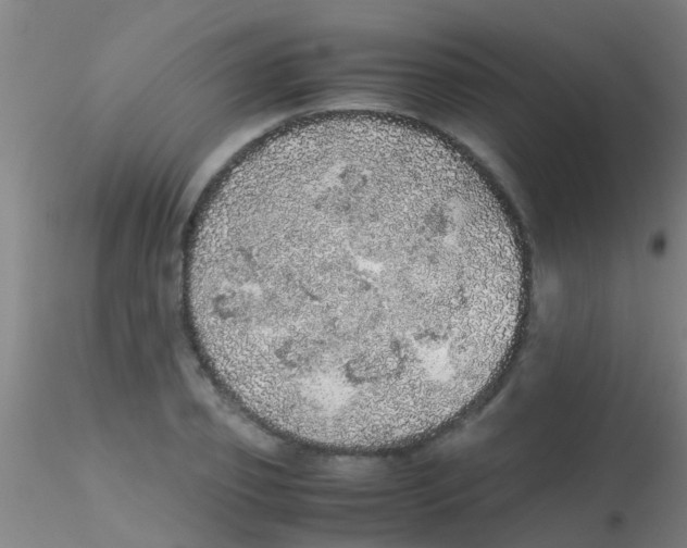 X0000115210933200911251504