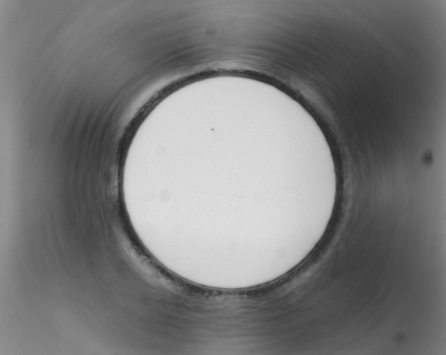 X0000115210934200911251504