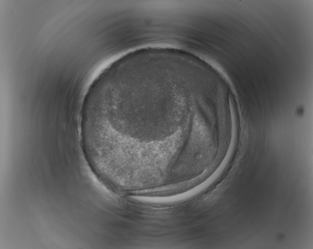 X0000115210935200911251504