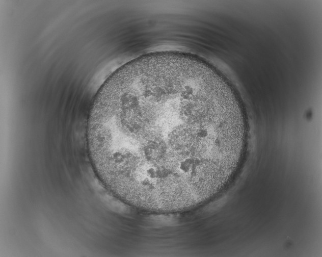 X0000115210937200911251504