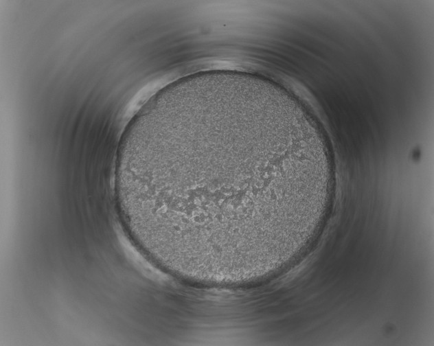 X0000115210938200911251504