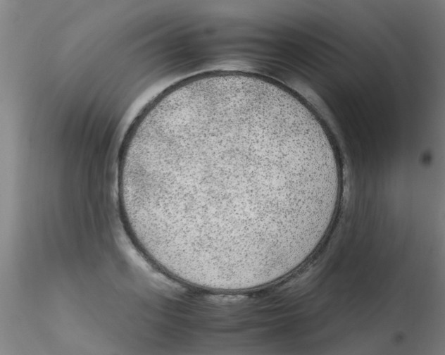 X0000115210939200911251504