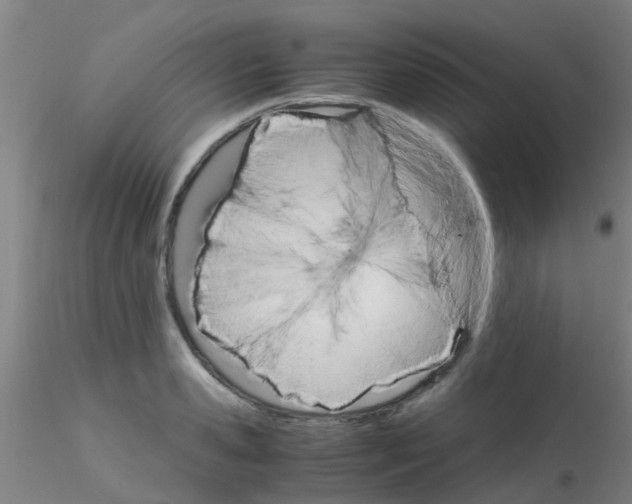 X0000115210941200911251504