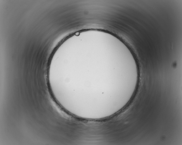 X0000115210942200911251504