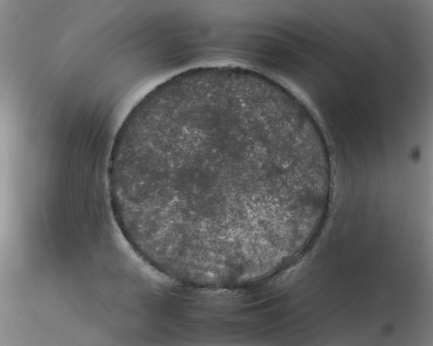 X0000115210943200911251504