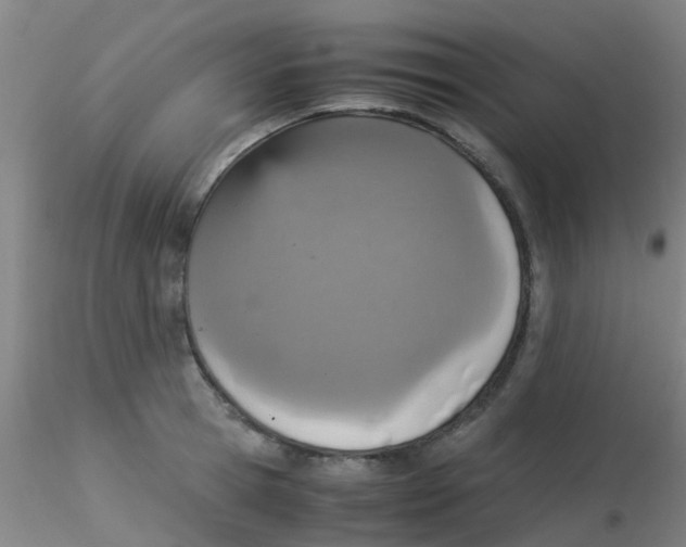 X0000115210945200911251504