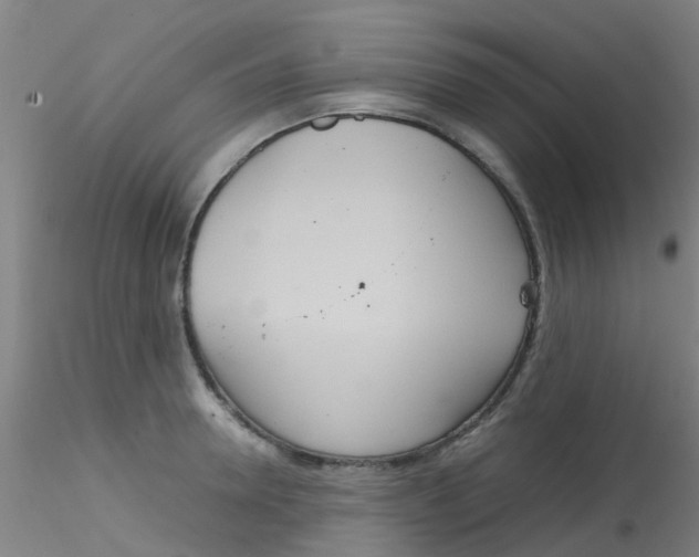 X0000115210946200911251504