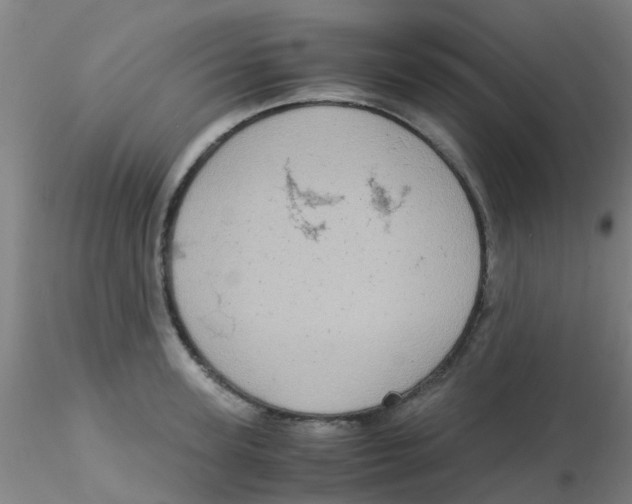 X0000115210947200911251504