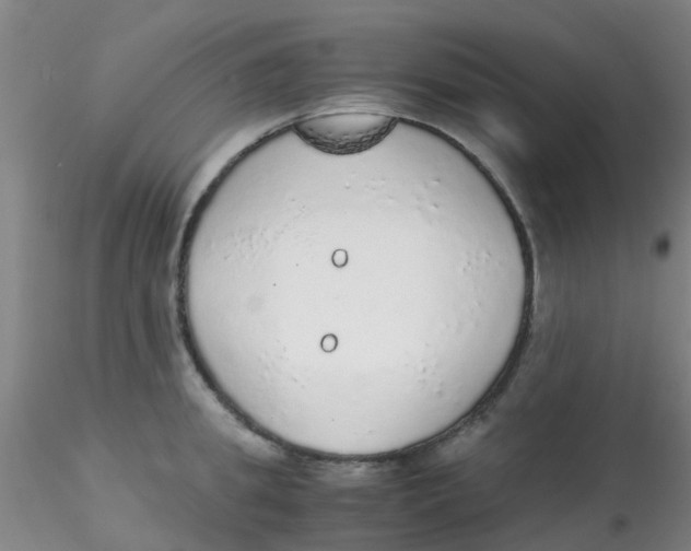 X0000115210949200911251504