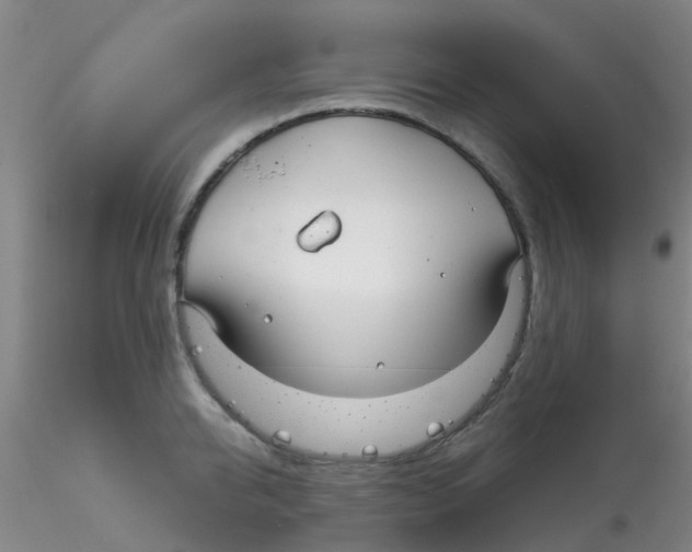 X0000115210950200911251504