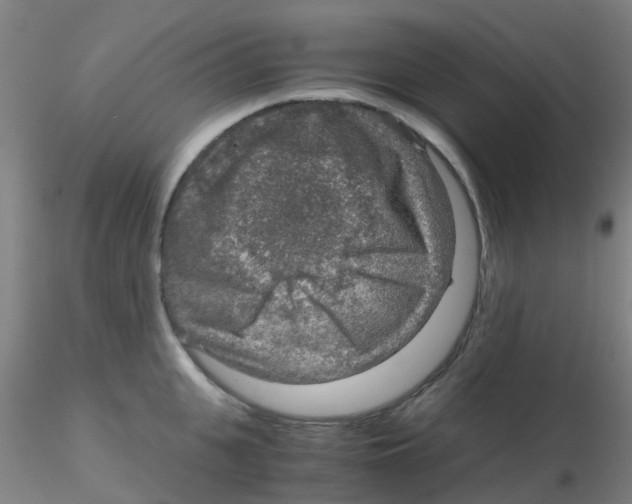 X0000115210951200911251504