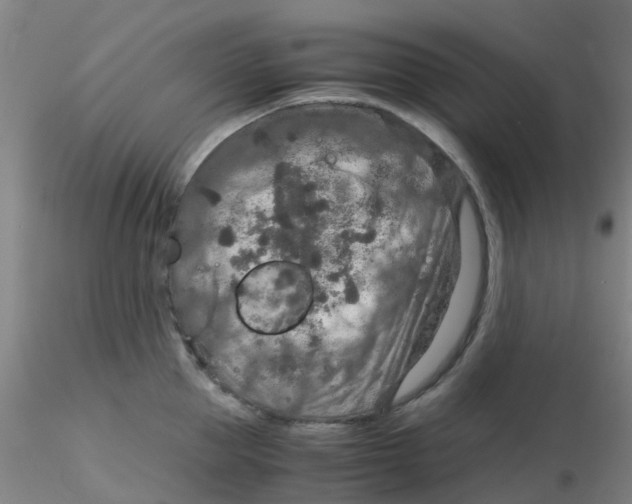 X0000115210953200911251504