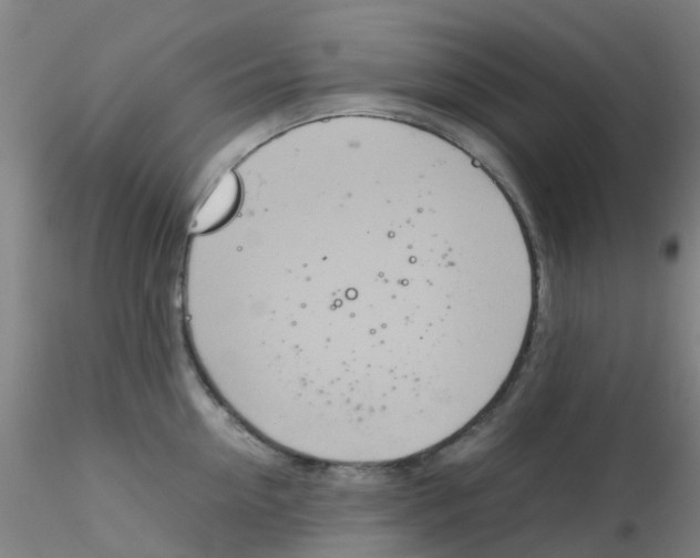 X0000115210954200911251504