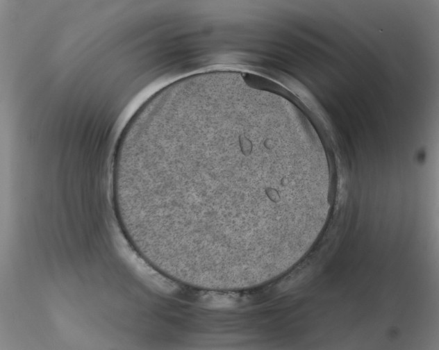 X0000115210955200911251504