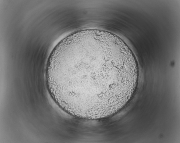 X0000115210957200911251504