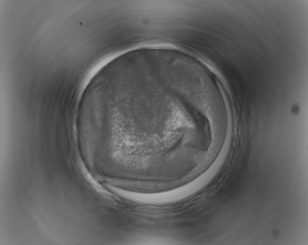 X0000115210959200911251504