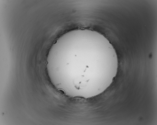 X0000115210961200911251503