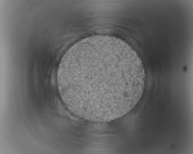 X0000115210962200911251503