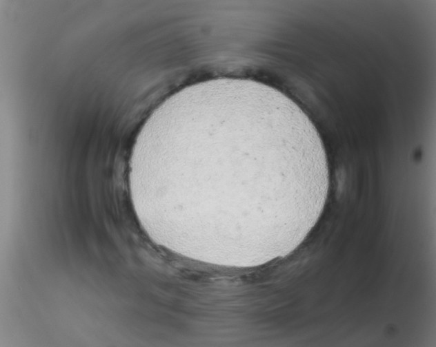 X0000115210964200911251503