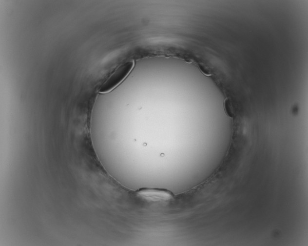 X0000115210965200911251503