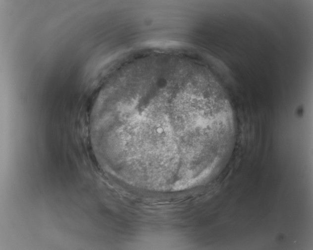 X0000115210966200911251503