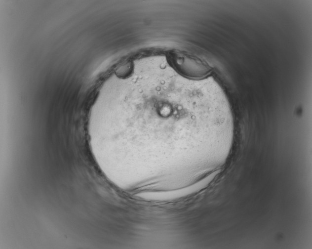 X0000115210968200911251503