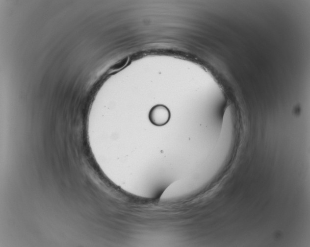 X0000115210969200911251503