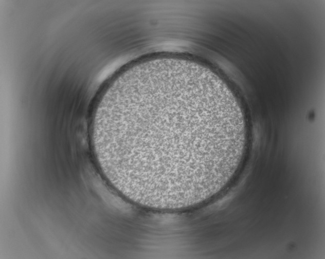 X0000115210970200911251503