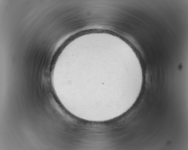 X0000115210972200911251503