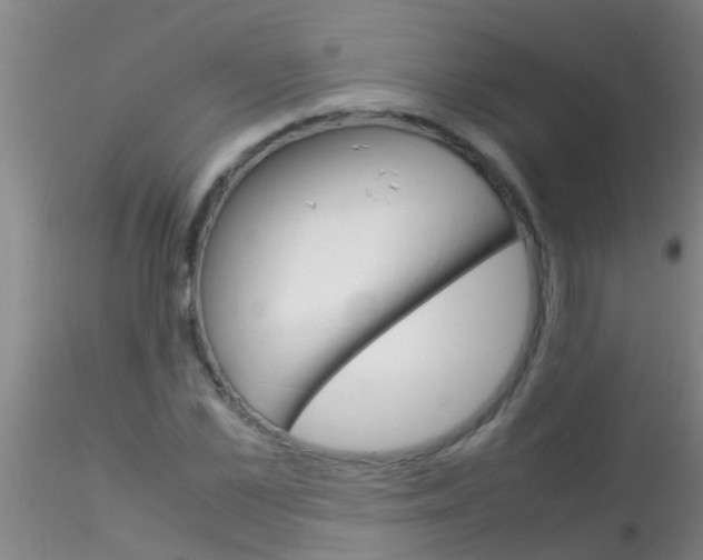 X0000115210973200911251503