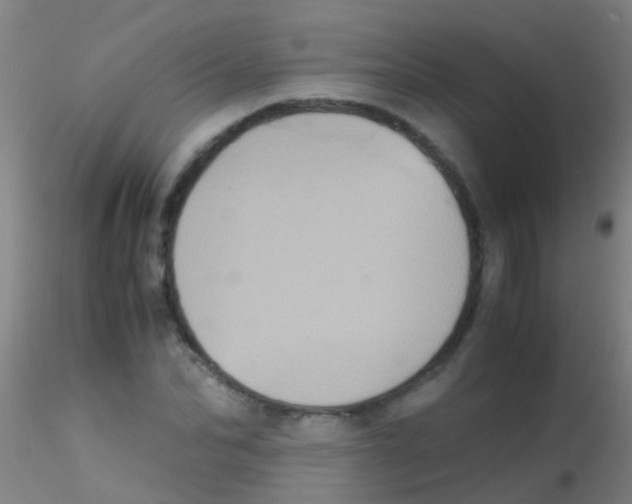 X0000115210974200911251503