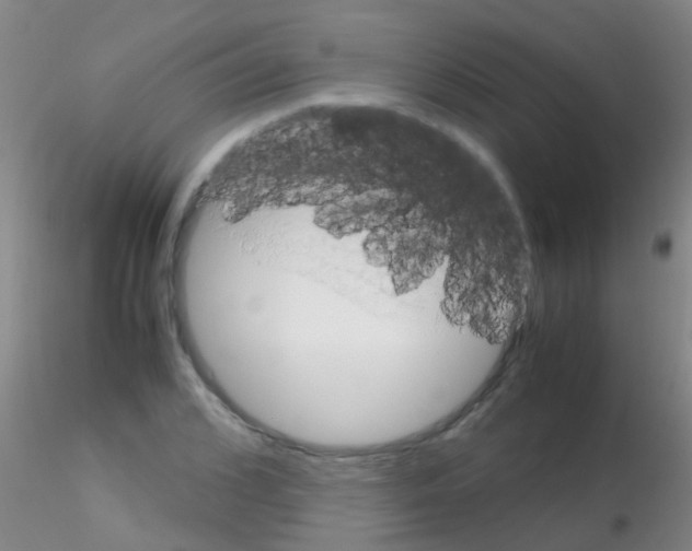 X0000115210976200911251503