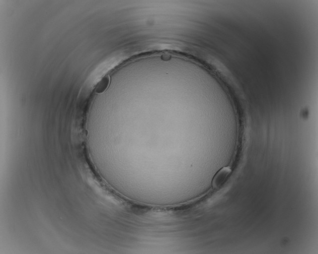 X0000115210977200911251503