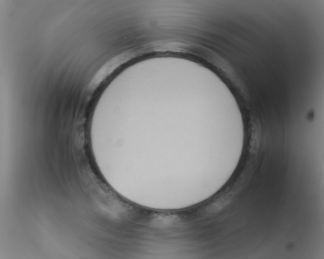 X0000115210978200911251503