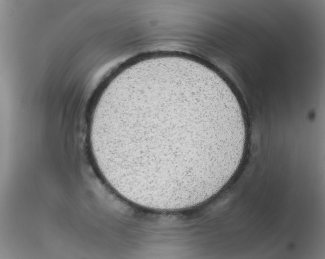 X0000115210979200911251503