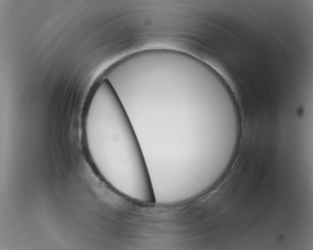 X0000115210980200911251503