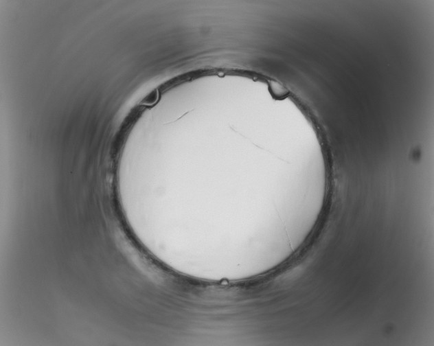 X0000115210981200911251503