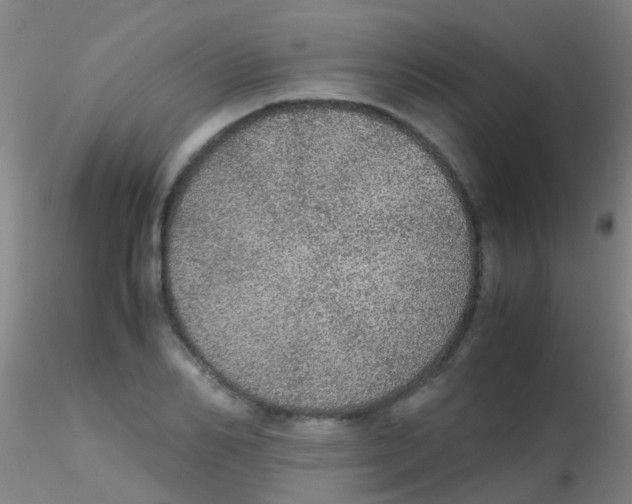 X0000115210982200911251503