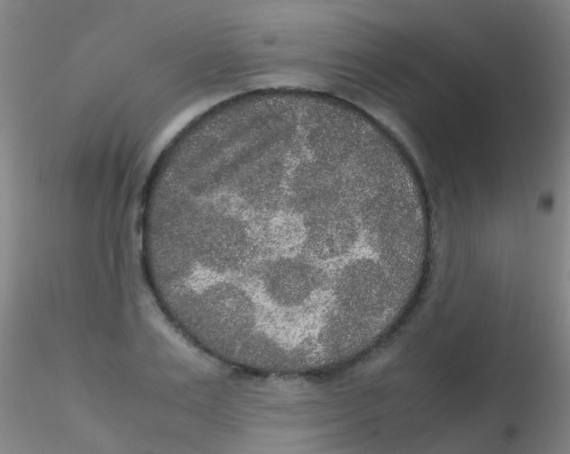 X0000115210983200911251503