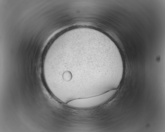 X0000115210984200911251503