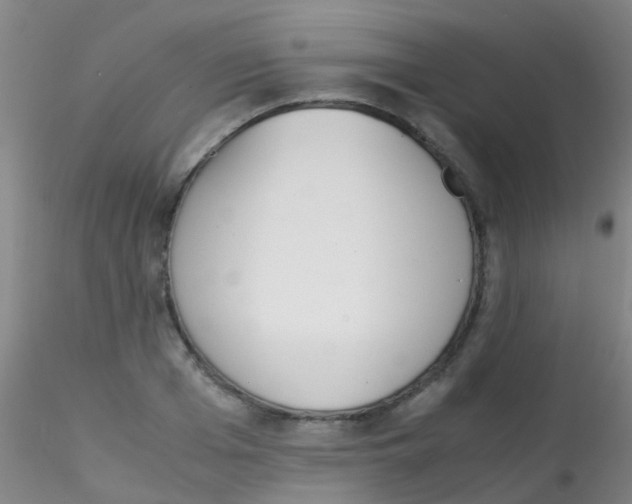 X0000115210985200911251503