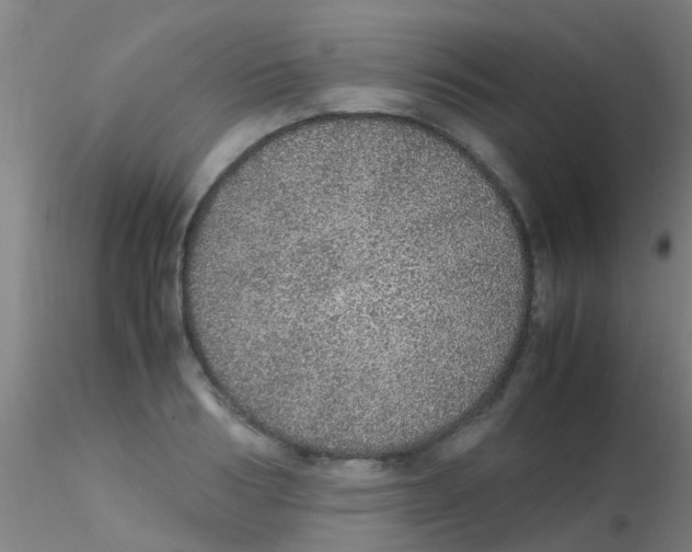 X0000115210986200911251503