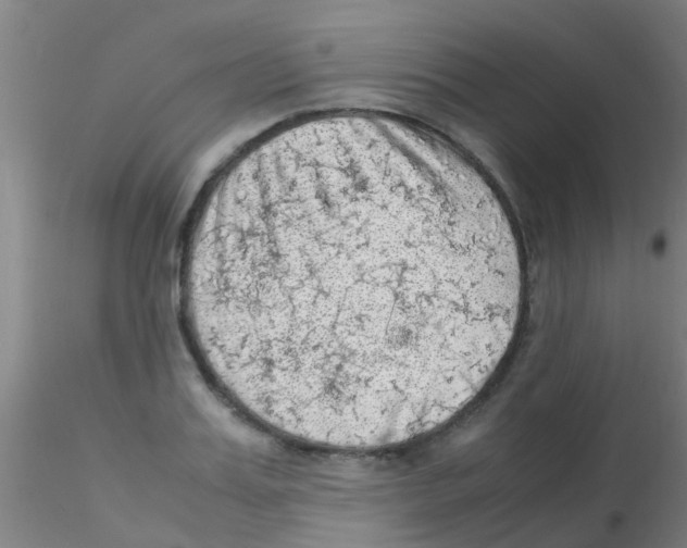 X0000115210987200911251503