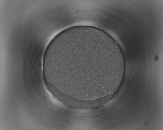 X0000115210988200911251503