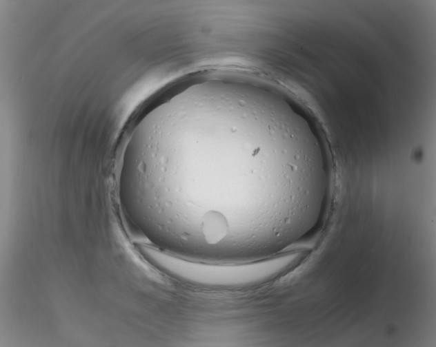 X0000115210989200911251503